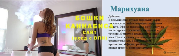 стаф Покачи
