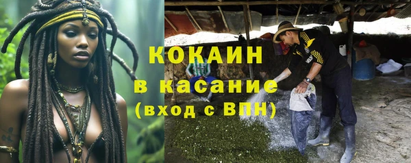 стаф Покачи